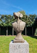 Beeldje - Dog bust - IJzer