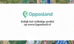Femke zoekt een oppas in Hellevoetsluis voor 1 kind op vr..., Boeken, Nieuw