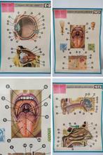 J.M. Thomas - 3 Anatomy posters - Jaren 1970