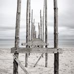 Wiepke Folkerts - Dry Feet