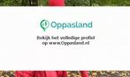 Noa zoekt een oppas in Amsterdam voor 2 kinderen voor 4 d...