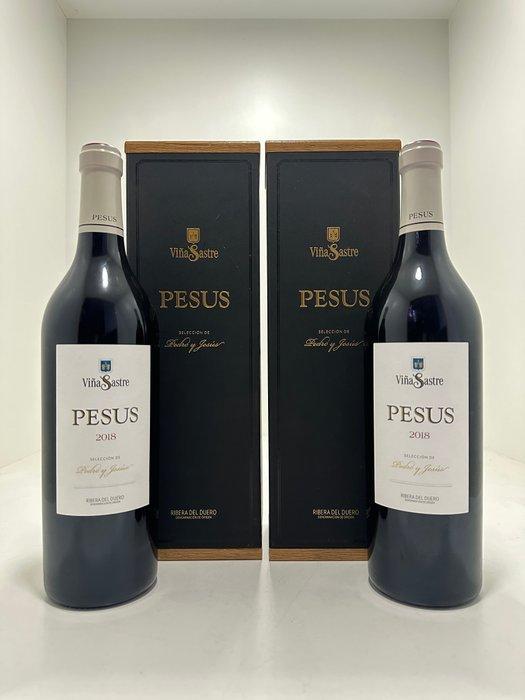 2018 Bodegas Hnos. Sastre, Viña Sastre Pesus - Ribera del, Verzamelen, Wijnen