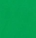 BRESSER Y-9 Achtergrond Doek 6x6m Chromakey Groen, Audio, Tv en Foto, Fotografie | Fotostudio en Toebehoren, Verzenden, Nieuw