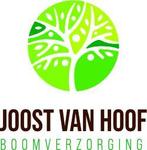 Boomverzorging, planten van bomen, snoeien van bomen., Tuin- of Vijveraanleg