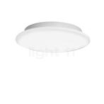 Peill+Putzler Ciclo Plafond-/Wandlamp, ø¸40 cm (Verlichtin, Huis en Inrichting, Lampen | Plafondlampen, Verzenden, Nieuw