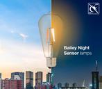 Bailey Led Filament St64 E27 Gouden Dag Nacht Sensor Lamp -, Verzenden, Nieuw, Overige typen