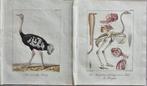 Johann Wolf (1765/ 1824 - Ambrosius Gabler (1762–1834) - Lot, Antiek en Kunst