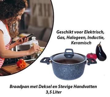 Braadpan met Deksel en Stevige Handvatten 4,4 Liter beschikbaar voor biedingen