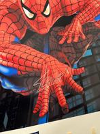 Spider-Man, Stan Lee (Marvel Legend +) - Signed in Person -, Nieuw