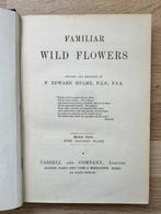 F Edward Hulme - Familiar Wild Flowers - 1890, Antiek en Kunst, Antiek | Boeken en Bijbels