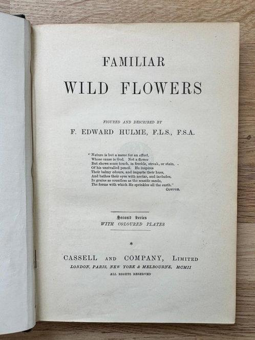 F Edward Hulme - Familiar Wild Flowers - 1890, Antiek en Kunst, Antiek | Boeken en Bijbels