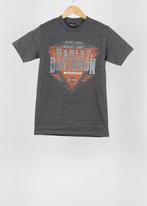 Vintage Harley-Davidson T-shirt in Gray size M, Kleding | Heren, Ophalen of Verzenden, Nieuw