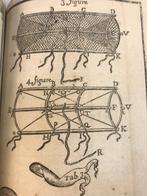 François Fortin - Les Ruses innocentes de la chasse et de