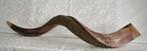 Shofar Large (kosher), Verzenden, Nieuw