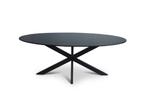 Mangohouten eetkamertafel / vergadertafel zwart ovaal,, Nieuw, 200 cm of meer, Ophalen of Verzenden, Metaal