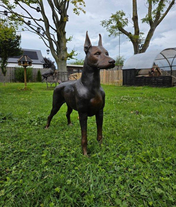Arnadia - Beeld, Bronze: Large Doberman Dog - 70 cm - Brons, Antiek en Kunst, Curiosa en Brocante