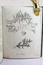 Xaverii De Wulfen - Cryptogama aquatica - 1803