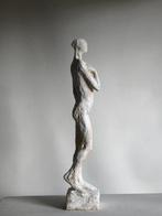 Raghad - Solitude fertile