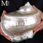 Hart van Tahiti – Buitengewone Meesterwerken Turbo, Antiek en Kunst