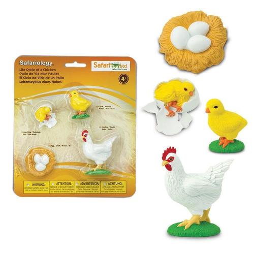 Speelfiguren Levenscyclus Kip - Safari Ltd 4 stuks, Kinderen en Baby's, Speelgoed | Overig