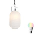 Smart buiten hanglamp wit 20cm incl. Wifi A60 - Pion, Verzenden, Nieuw, Kunststof