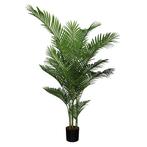 Areca palm 185 cm - Buitengewoon de Boet, Nieuw, Verzenden