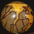 Septarische bol: concretie van calciet en aragoniet. -
