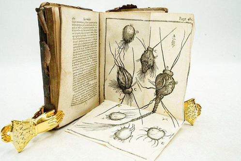 Michel Ettmüller - Pratique de médecine spéciale de Michel, Antiek en Kunst, Antiek | Boeken en Bijbels