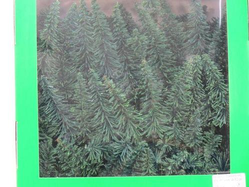 Jordan 60G Tannenwald sort 4-12cm 100st (Bomen & Struiken), Hobby en Vrije tijd, Modelbouw | Figuren en Diorama's, Nieuw, Ophalen of Verzenden