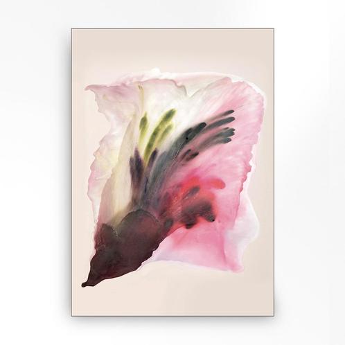 *WOONWINKEL* Urban Cotton Wild Flower 7 Wandkleed In Frame M, Huis en Inrichting, Woonaccessoires | Overige, Nieuw, Verzenden