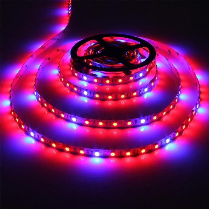 Grow light led strip - Rood/Blauw - 4:1 - 5 meter, Hobby en Vrije tijd, Elektronica-componenten, Nieuw, Ophalen of Verzenden