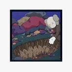 Snoop Dogg - Doggystyle / Reimagined by KAWS - Limited to, Cd's en Dvd's, Nieuw in verpakking