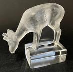 Lalique - Presse-papier - Daim - Kristal, Antiek en Kunst