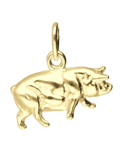 Gouden Varken kettinghanger, Sieraden, Tassen en Uiterlijk, Kettinghangers, Verzenden