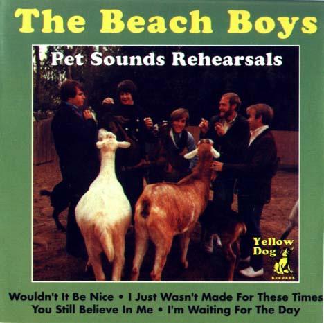 cd - The Beach Boys - Pet Sounds Rehearsals, Cd's en Dvd's, Cd's | Overige Cd's, Zo goed als nieuw, Verzenden