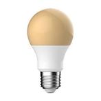Energetic LEDbulb Flame A60 E27 4.9W 2400K 396lm 230V - Zeer, Huis en Inrichting, Lampen | Losse lampen, Verzenden, Nieuw