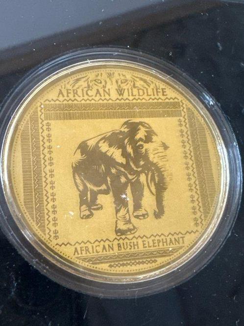 Salomonseilanden. 100 Francs CFA 2021 African Wildlife, Postzegels en Munten, Munten | Europa | Niet-Euromunten
