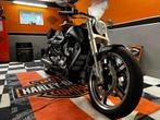 Harley-Davidson - V-Rod Muscle Custom - 2010, Motoren, Motoren | Oldtimers