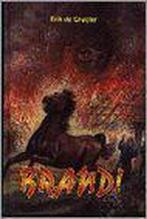 BRAND ! 9789033113017 E. de Gruijter, Verzenden, Zo goed als nieuw, E. de Gruijter