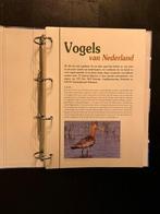 Nederland - Vogels in Nederland, een complete serie, Gestempeld