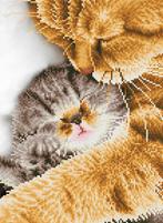 Diamond Dotz diamond painting - Ten van €46,99 voor €28,19, Ophalen of Verzenden, Nieuw