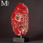 Groot rood koraal - Tubipora Musica - Indische, Verzamelen, Nieuw