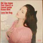 lp nieuw - Lana Del Rey - Did You Know That There's A Tunn..