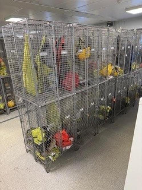 PARTIJ goed ventilerende lockerkasten / gaaslockers 4-deurs, Huis en Inrichting, Kasten | Lockerkasten, Gebruikt, Ophalen of Verzenden