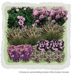 1m2 Najaarsborder roze tinten 4d - Vierkante Meter Borders, Nieuw, Verzenden