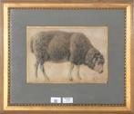 Anton Mauve (1838-1888), ‘Studie van een schaap’