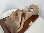 Anatomisch model - Metaal, Plastic, Rubber - 1960-1970 -, Antiek en Kunst