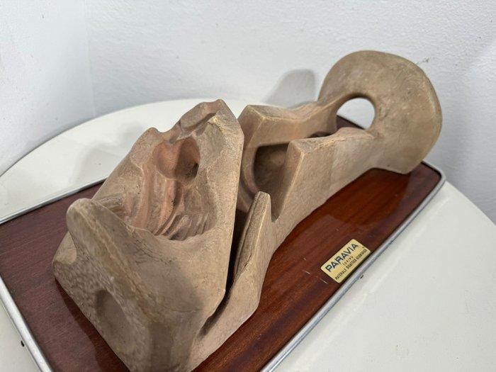 Anatomisch model - Metaal, Plastic, Rubber - 1960-1970 -, Antiek en Kunst, Antiek | Wandborden en Tegels