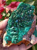 prachtige DIOPTASE van goede grootte. glanzende, Verzamelen
