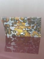 SERICHO - pallasite meteoriet - REBANADA PULIDA. Zonder, Verzamelen, Mineralen en Fossielen